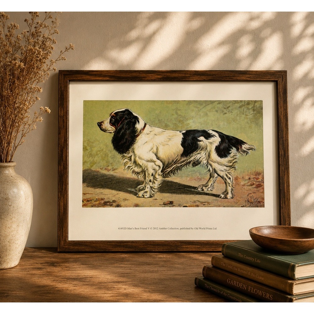 Old World Prints Mans Best Friend V Spaniel Dog Art Print 13x9.5 NO FRAME